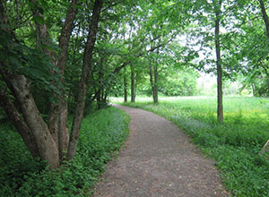 Calais Waterfront Walkway walking trail